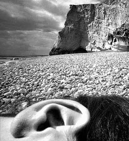 Bill Brandt (3 de mayo de 1904 - 20 de diciembre de 1983)